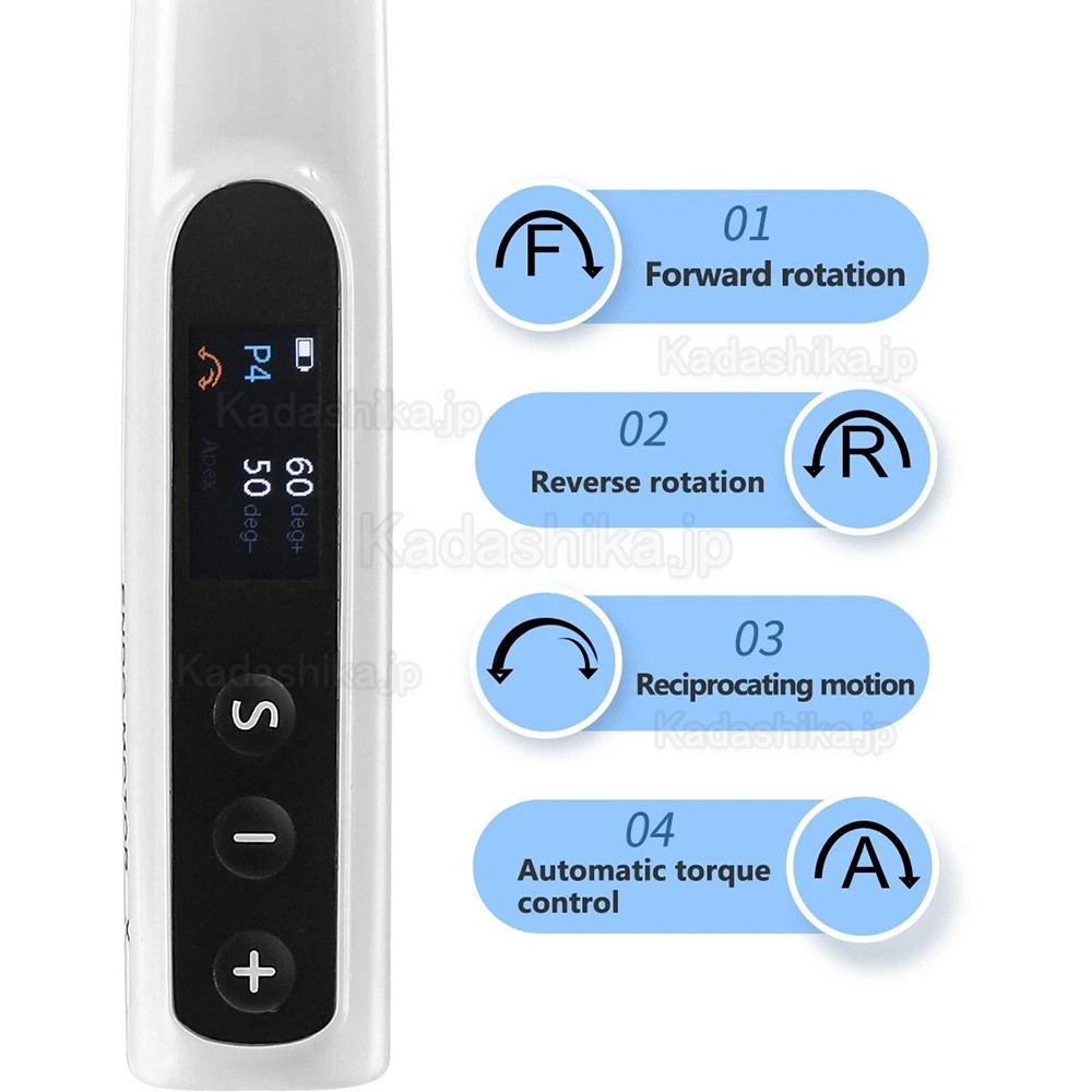歯科用エンドモーター + Westcode 歯科用ミニ電気的根管長測定器キット